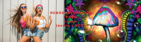 стафф Алексин