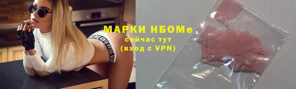 стафф Алексин