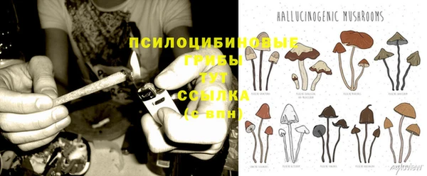 PSILOCYBIN Горнозаводск