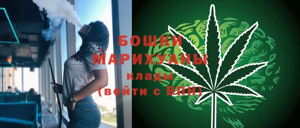 хмурый Касимов