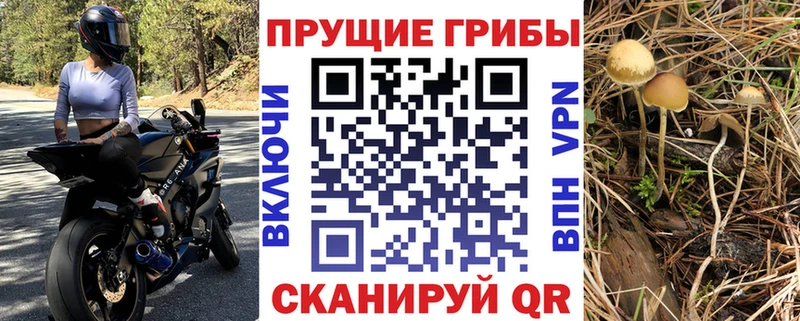 Галлюциногенные грибы Cubensis  Малаховка 